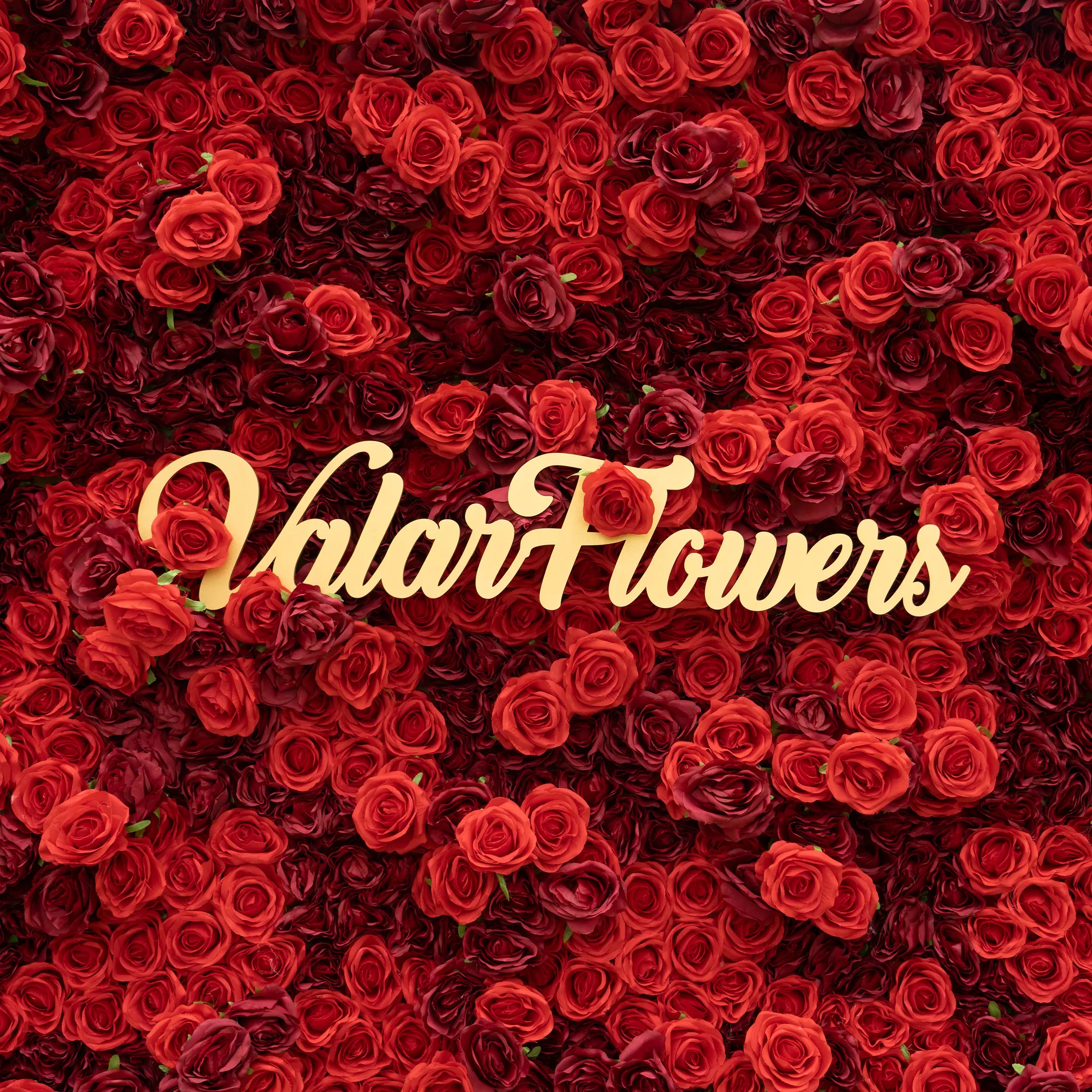 Valar Flowers Roll Up Stoff Künstliche Blumen wand Crimson Krönung: Eine regale Reihe roter Rosen, die Romantik und Reverence-VF-172 ausstrahlen