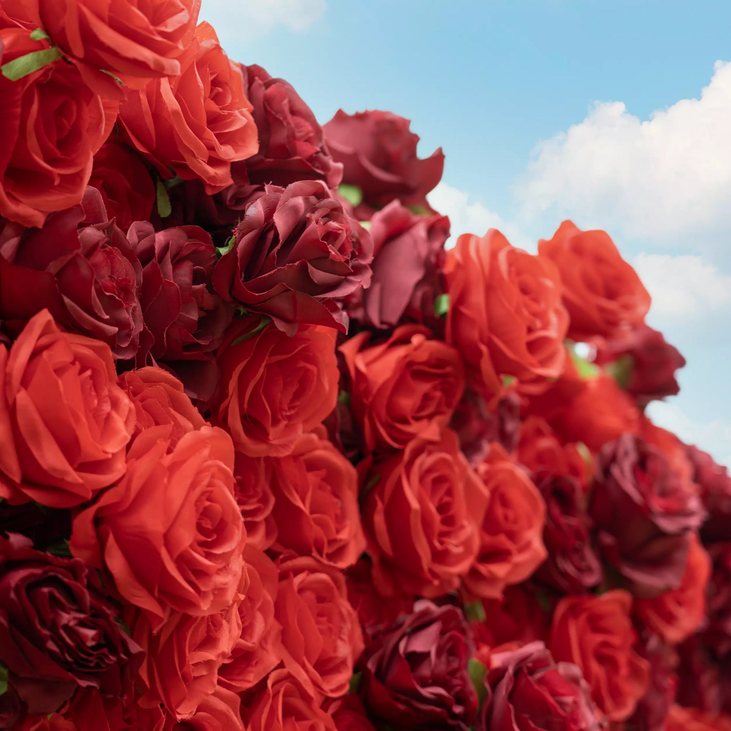 Valar Flowers Roll Up Stoff Künstliche Blumen wand Crimson Krönung: Eine regale Reihe roter Rosen, die Romantik und Reverence-VF-172 ausstrahlen