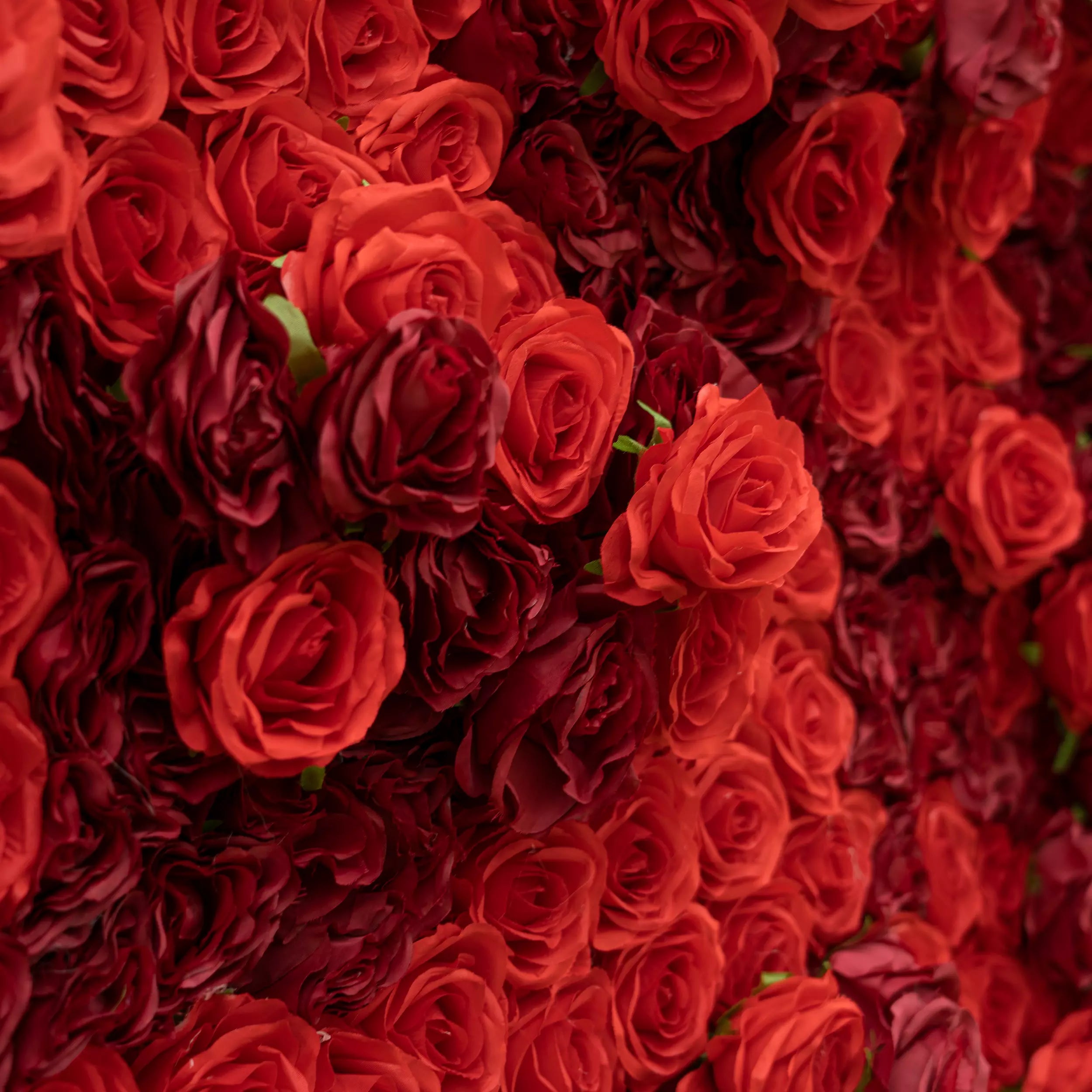 Valar Flowers Roll Up Fabric Artificial Flower Wall Crimson Coronation: A Regal Array of Red Roses Radiating Romance and Reverence-VF-172