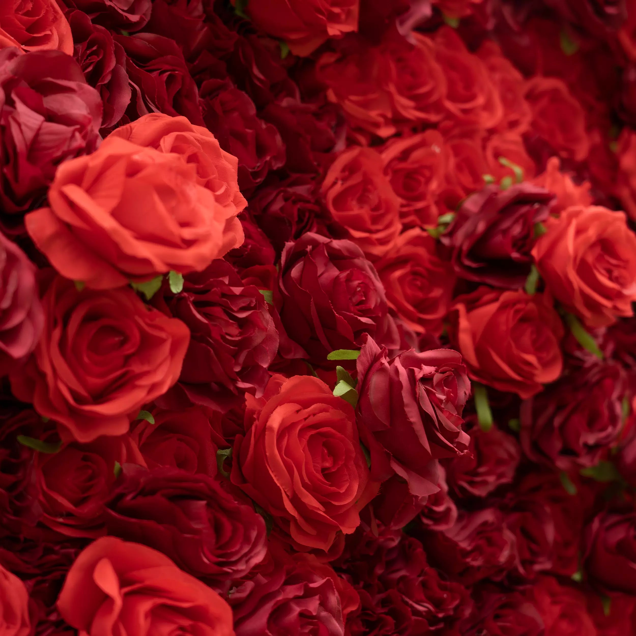 Valar Flowers Roll Up Stoff Künstliche Blumen wand Crimson Krönung: Eine regale Reihe roter Rosen, die Romantik und Reverence-VF-172 ausstrahlen