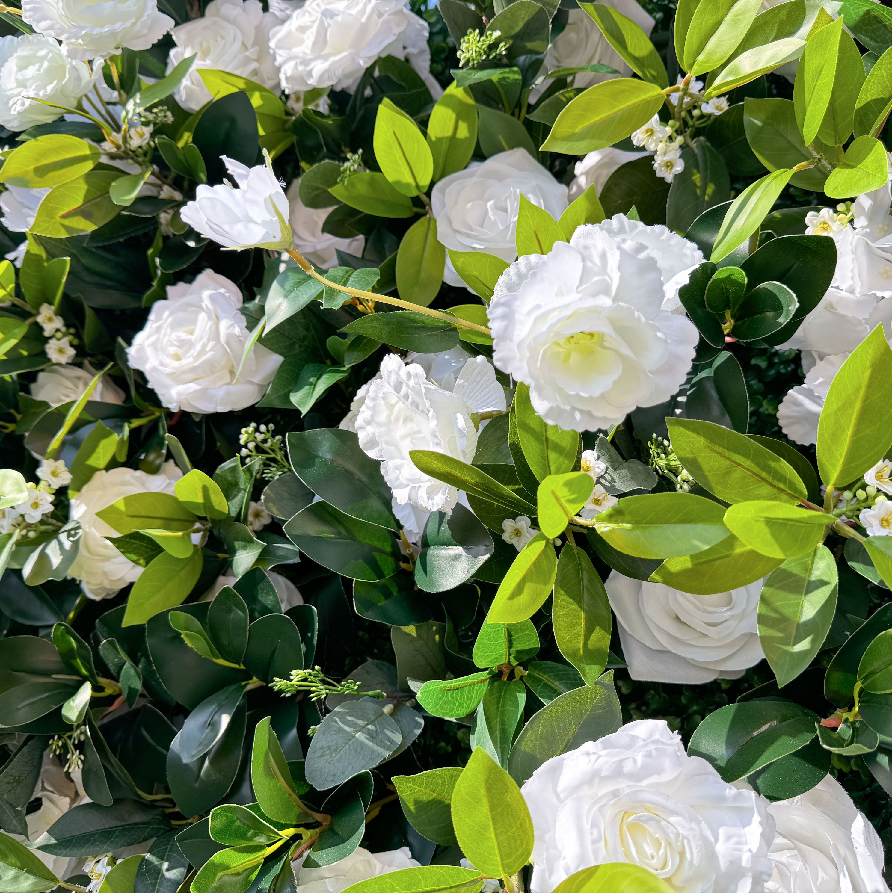 This close - up shows a section of a flower wall. It is densely populated with white roses and green leaves. The roses are large and in full bloom, creating a lush and elegant appearance. Interspersed among the roses are smaller white flowers, adding texture and variety to the arrangement. The green leaves are vibrant, providing a fresh contrast to the white flowers.