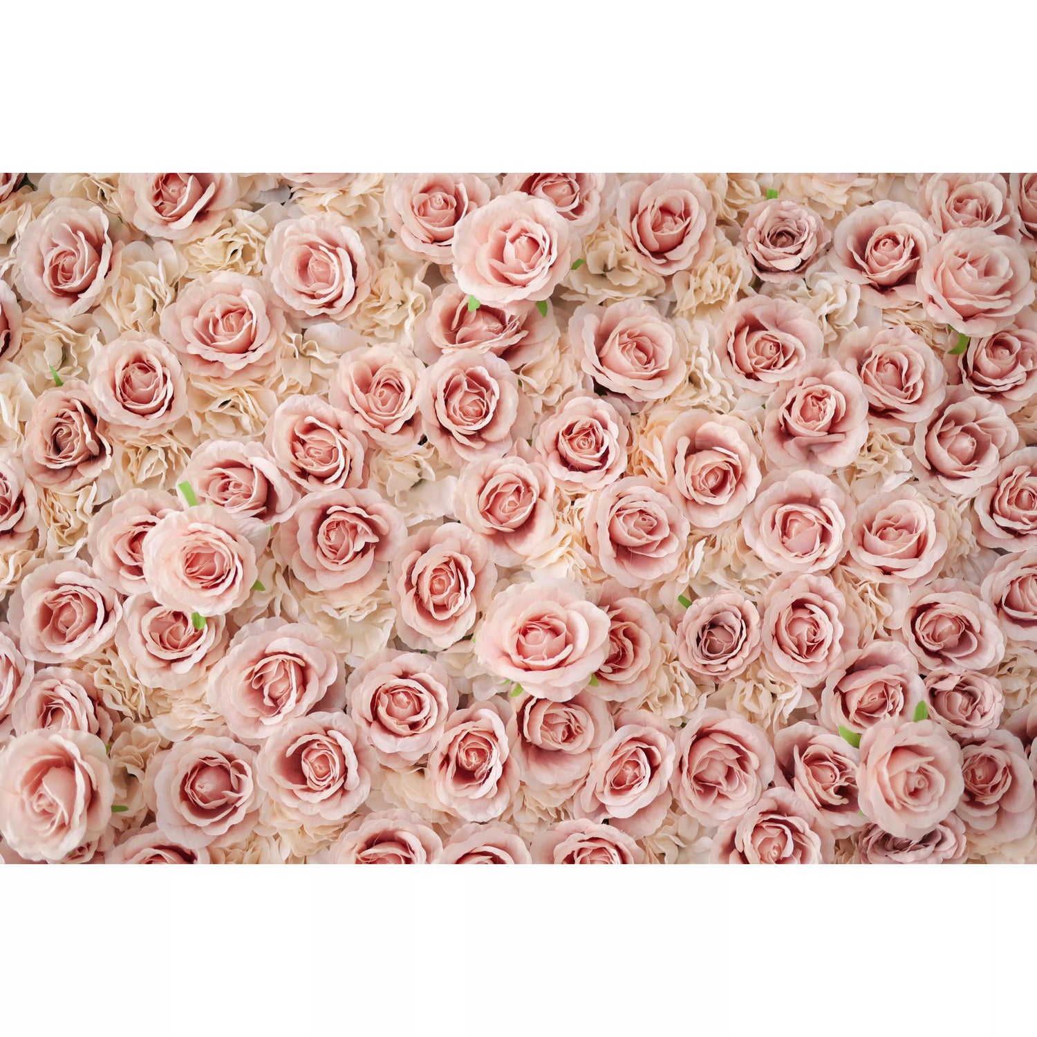 Valar Flowers Showcases: Serene Rose Whispers - Uma parede de flores de tecido artificial requintado enriquecido com flores cor-de-rosa azuladas-VF-209