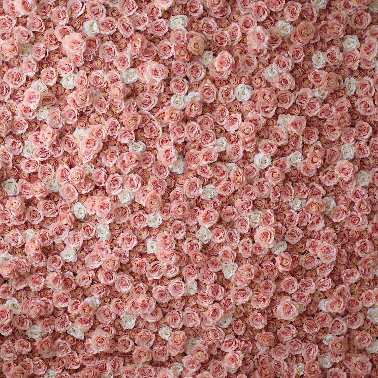 Valar Flores Roll Up Tecido Rosa Turca Artificial e Oriental Rosa e Branco Flor Parede Wedding Backdrop, Decoração Floral Festa, Fotografia Evento-VF-054