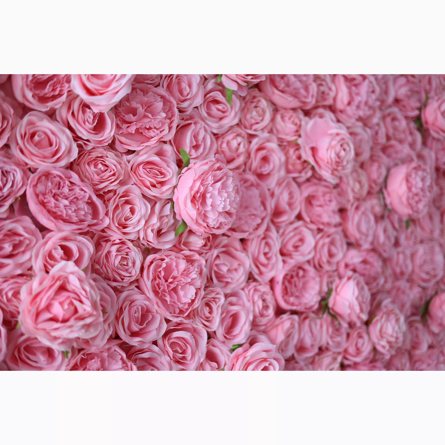 Valar Flowers Roll-up-Stoff Künstliche Elegante rosa Blumenwand: Die Quintessenz des Spa-Dekors für ein ruhiges Ambiente-VF-217