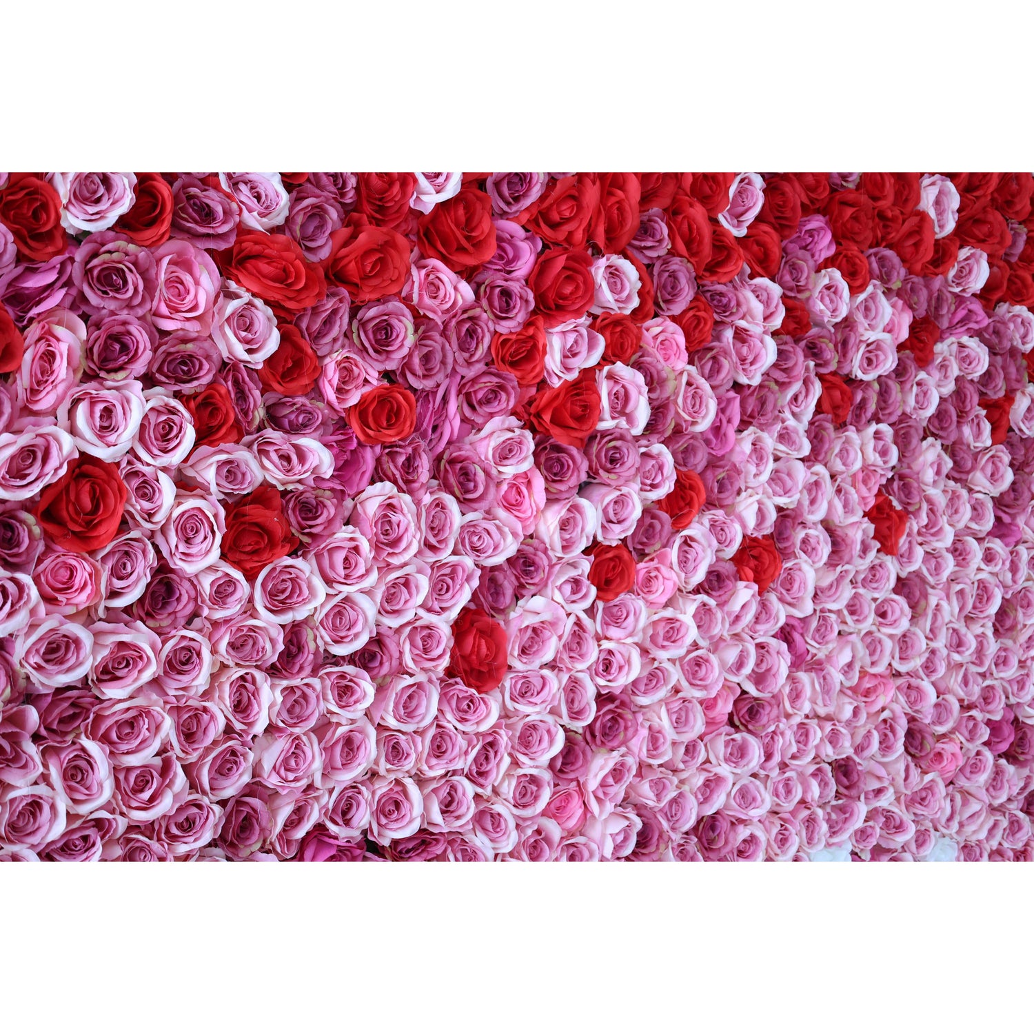 Valar Flowers Roll Up Fabric Artificial Red to White Gradient Flower Wall Wedding Backdrop, Floral Party Decor, Event Photography-VF-338