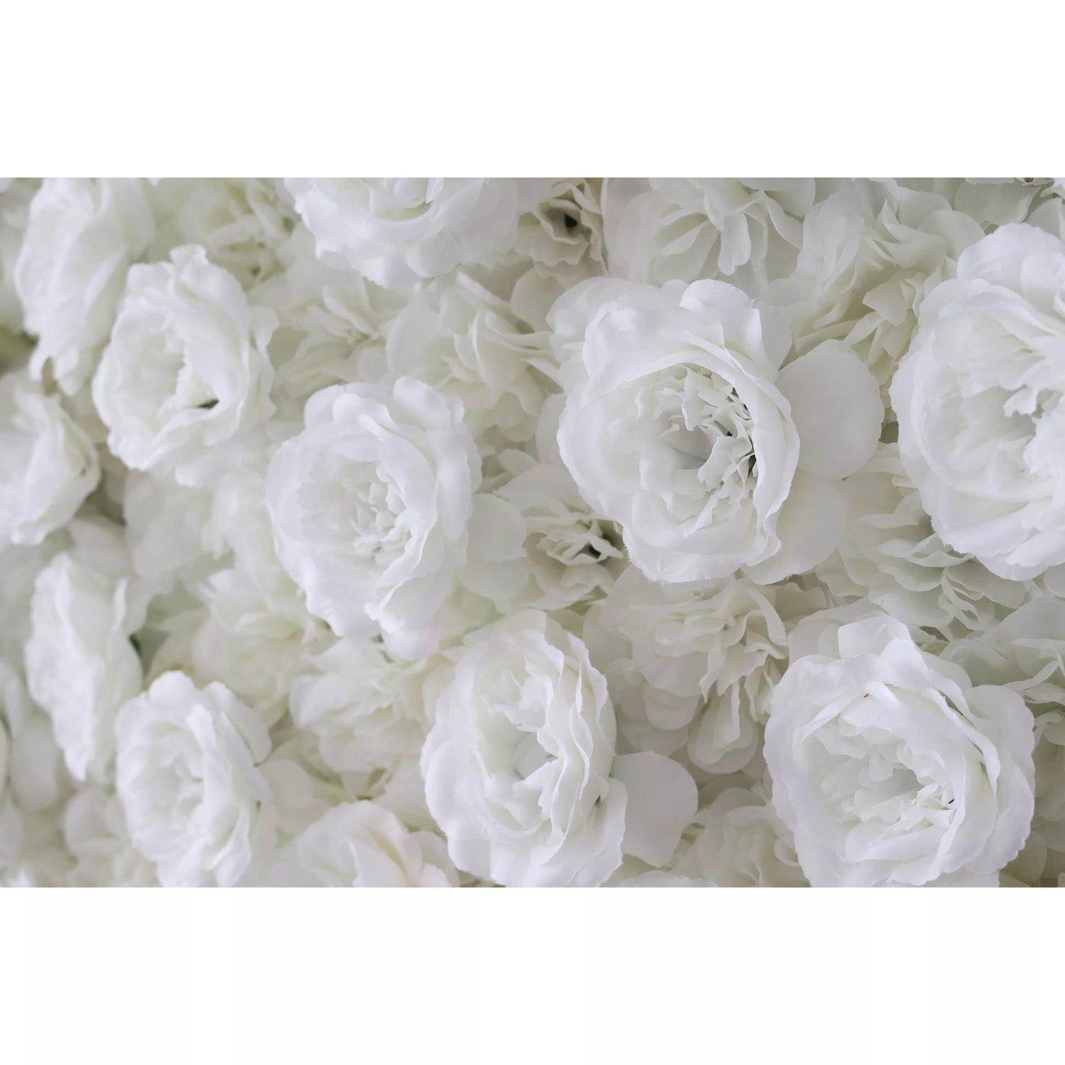 ValarFlowers Artificial Rose Wall Backdrop: Serene Elegance - The Whispering Whites-VF-256