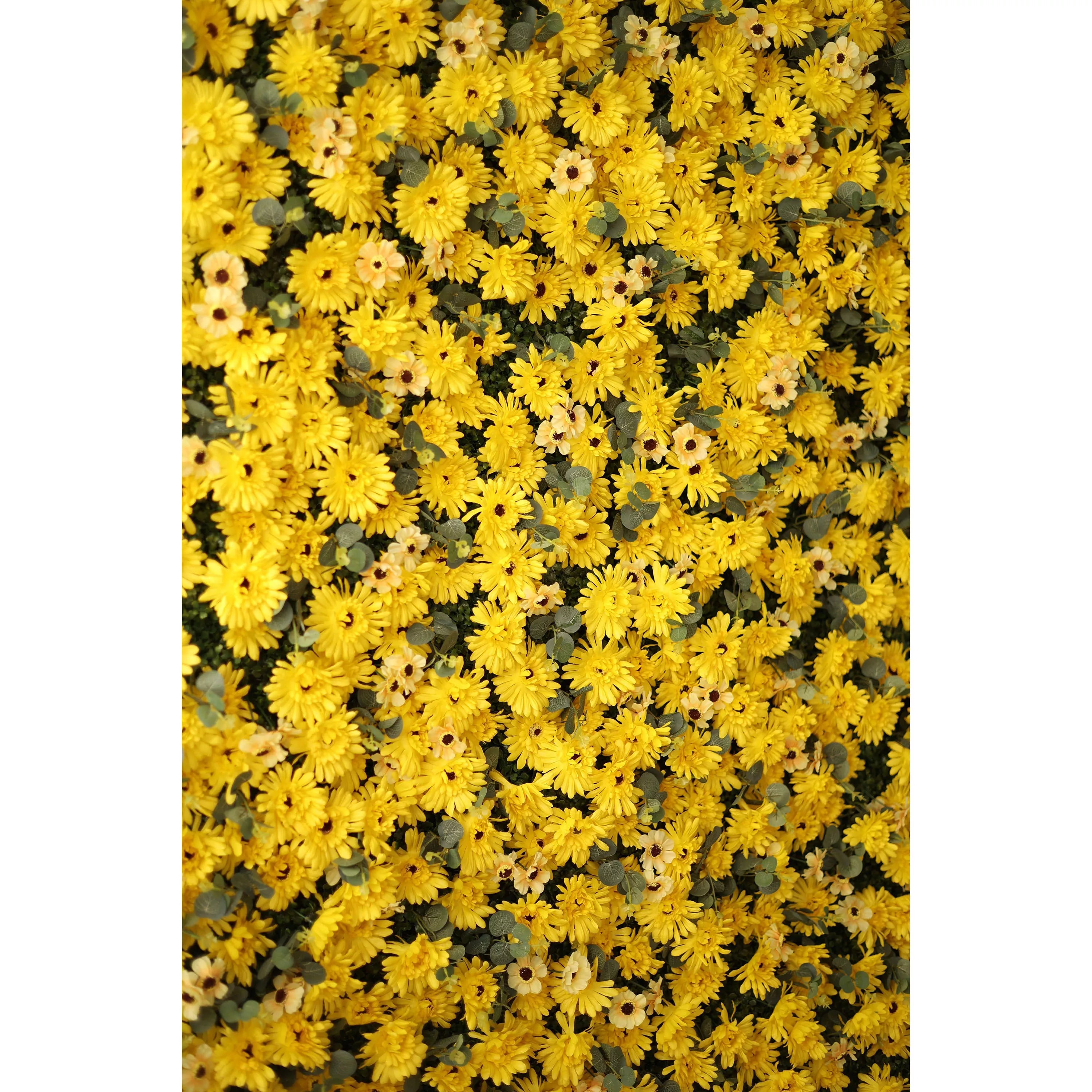 Valar Flores Roll Up Tecido Artificial Queimado Amarelo Euryops Pectinatus Flor Parede Wedding Backdrop, Decoração Floral Festa, Evento Fotografia-VF-069