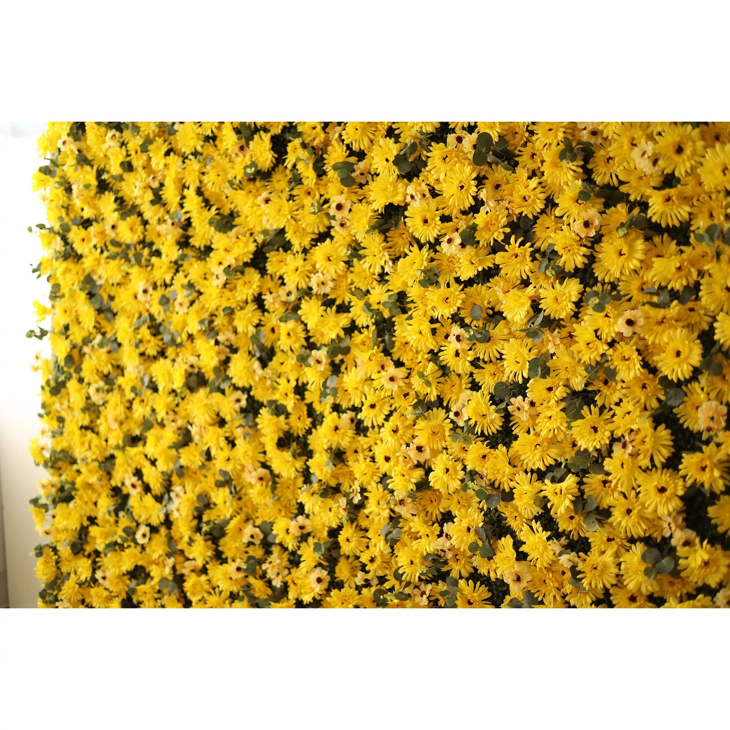 Valar Flowers Roll Up Fabric Artificial Burnt Yellow Euryops Pectinatus  Flower Wall Wedding Backdrop, Floral Party Decor, Event Photography-VF-069