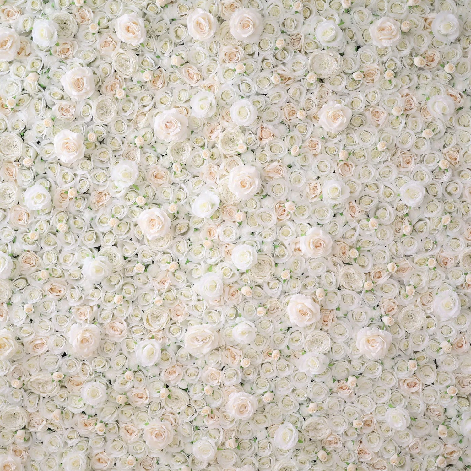 Valar Flowers Roll Up Fabric Artificial Lemon White Rose Pink Core Flower Wall Wedding Backdrop, Floral Party Decor, Event Photography-VF-085-2