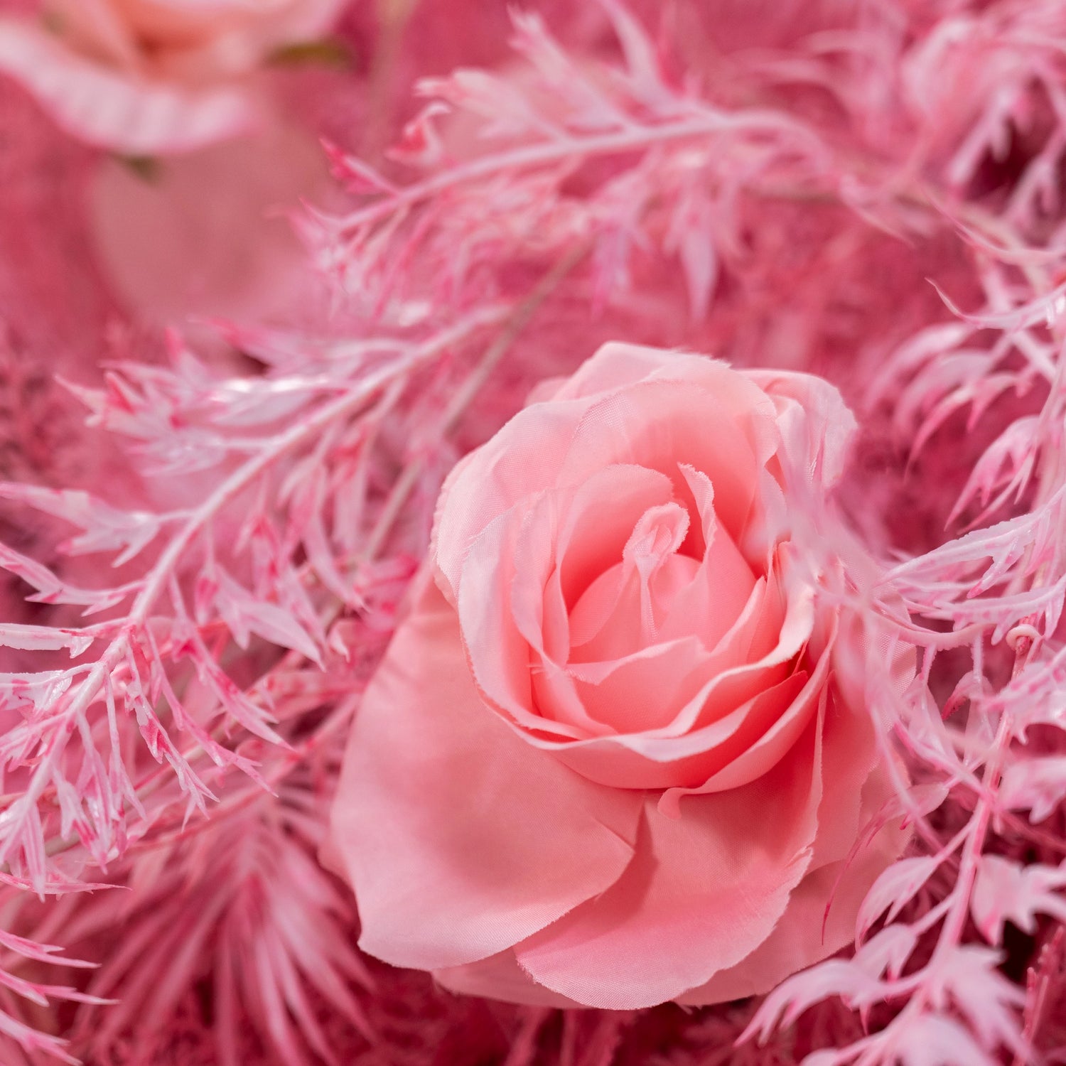 Pared de flor rosa ruborosa con acentos de helecho esmerilado: el romance se encuentra con la fantasía de un Celebrations-VF-202-3 sofisticado