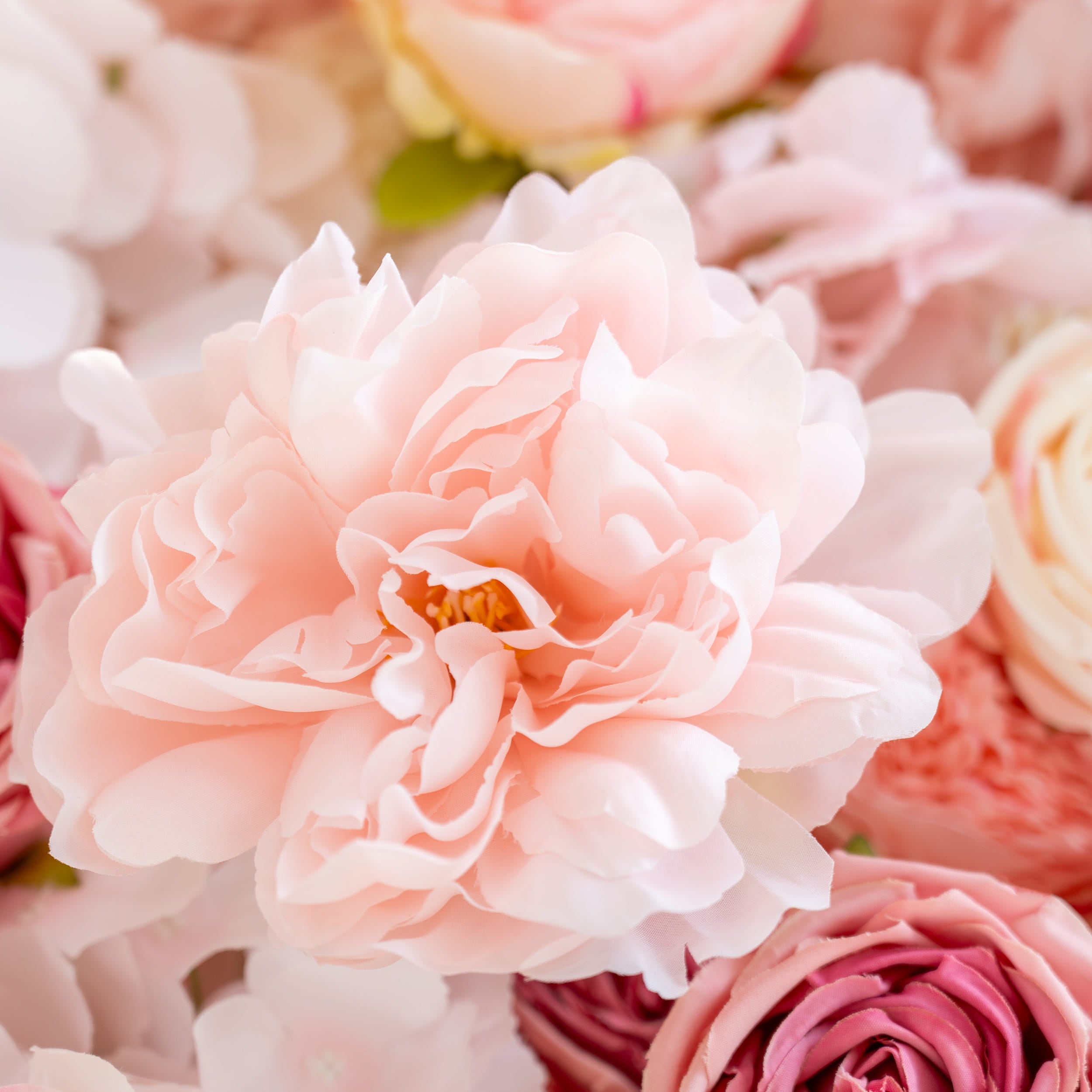 A close - up of a beautiful, large - petaled pink flower, likely a peony, surrounded by other pastel - colored blooms. The soft hues create a romantic and delicate floral scene.
