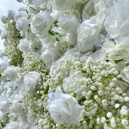 Gypsophila paniculata AKA Baby&