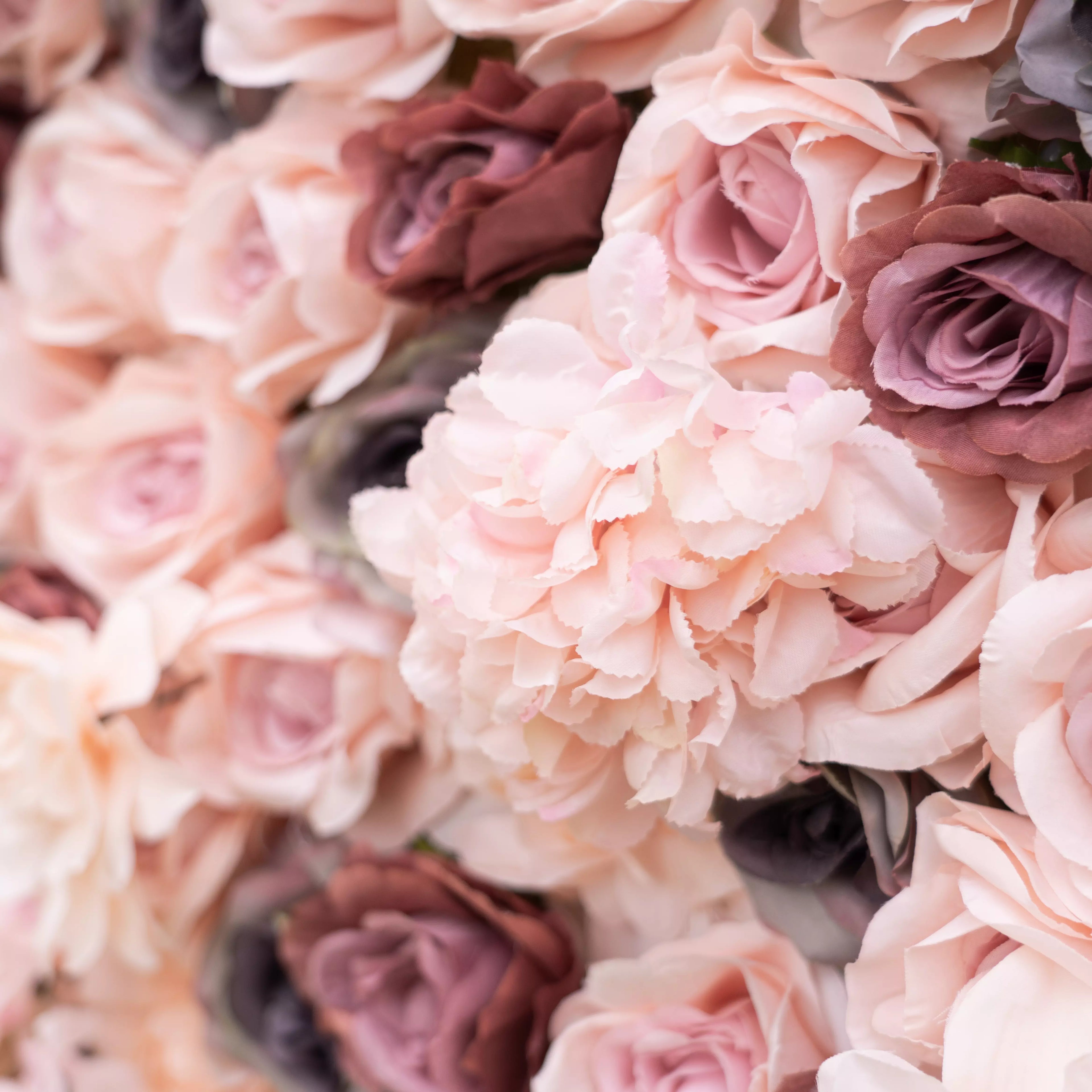 ValarFlowers Nude Color and Roseate Reverie: A Romantic Dance of Delicate Petals and Tender Affection- Celebration Floral Wall-VF-062