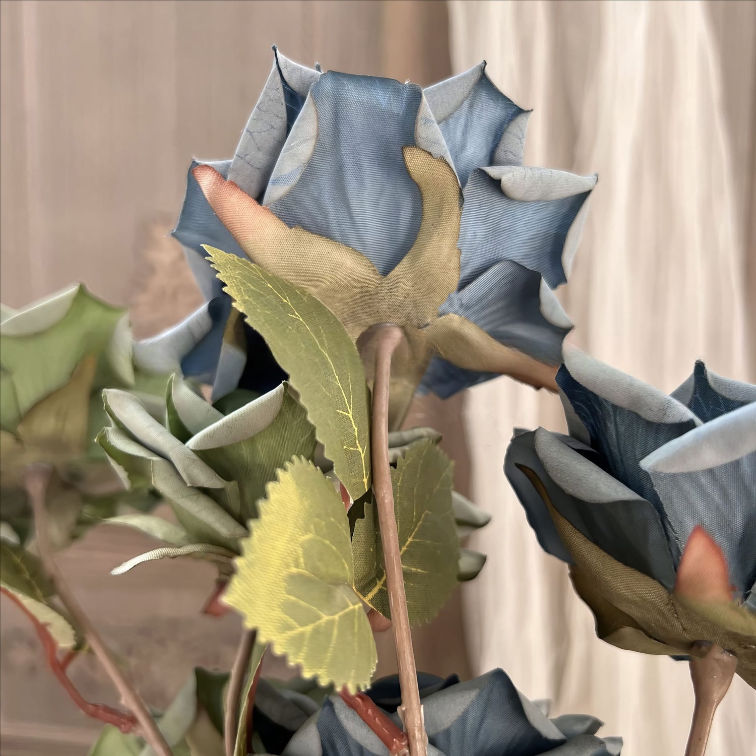 This image shows a close-up of a blue rose, highlighting its detailed petals and textured appearance. Surrounding it are green, veined leaves with a soft fabric-like texture. The backdrop appears soft and elegant.